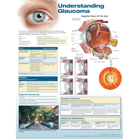 Understanding Glaucoma — Medshop Australia