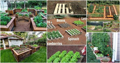 20 Ways For Growing A Successful Vegetable Garden