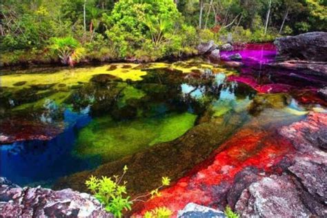 Meet The Liquid Rainbow River Of Colombia Weekendercomsg