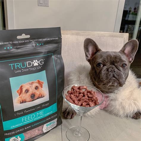 When you search for raw dog food, you will come across many suppliers. @izzythe.frenchie | Dogs, Raw dog food recipes, Healthy ...