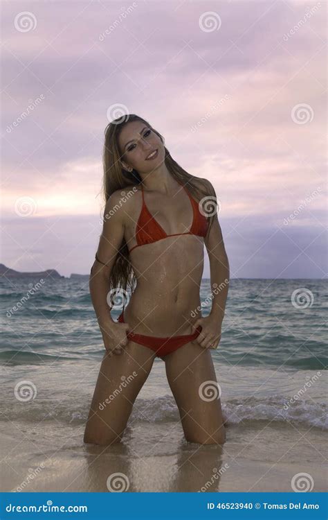 meisje in bikini op het strand stock foto image of bocht vakantie 46523940