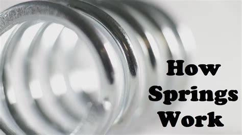 How Springs Work The Incredible Science Of All The Weird Varieties