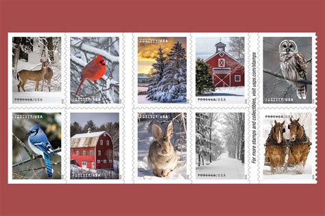 Dec 29, 2020 · how much is a forever stamp? The U.S. Postal Service Unveils Their New Holiday Stamps ...