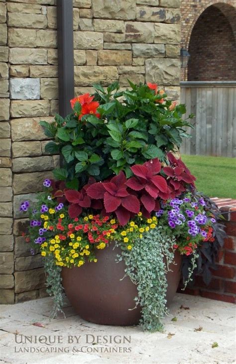 How To Have Large Flower Pots Outdoors Contemporary