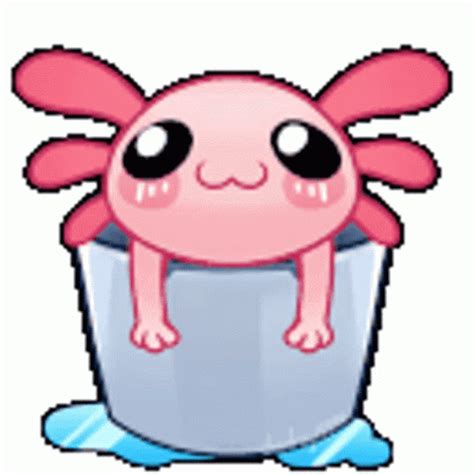 Axolotl In A Bucket GIF GIFDB Com