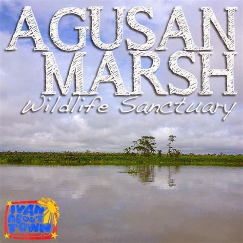 Agusan Del Sur Agusan Marsh Wildlife Sanctuary Ivan About Town