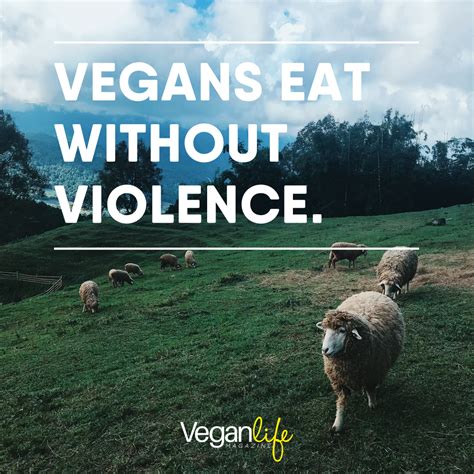 Vegan Life Magazine Blue Vxlvet