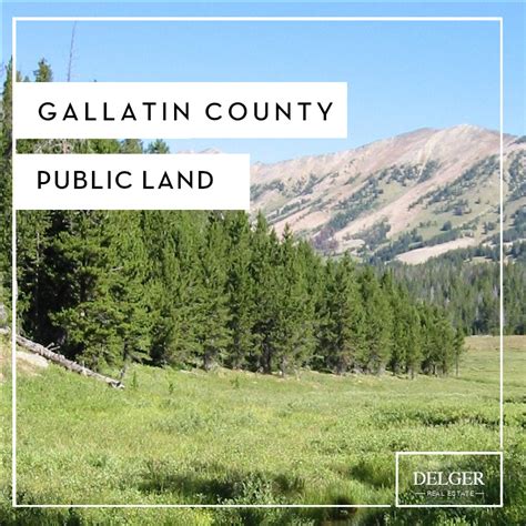 Properties being sold at auction have been repossessed by a bank, lender, or other foreclosing party, usually in response to an unpaid debt like a mortgage loan. Gallatin County - DELGER REAL ESTATE - MONTANA RANCHES