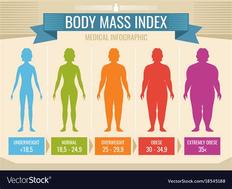 Body Mass Index Woman Age Flat Infographics Vector Image Porn Sex Picture