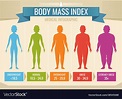 Woman body mass index medical infographic Vector Image