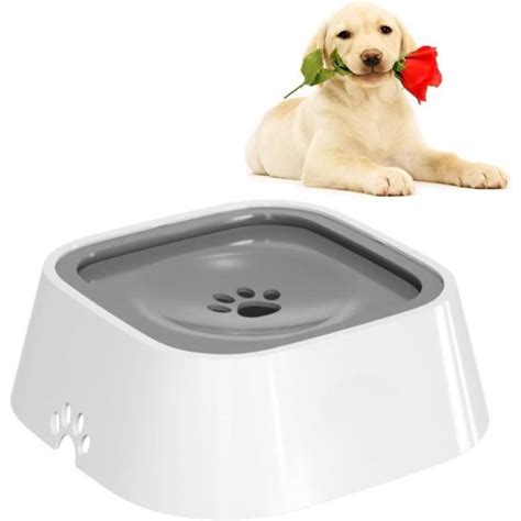 Fontaine Eau Pour Chat L Gamelles Flottantes Pour Chien Ne