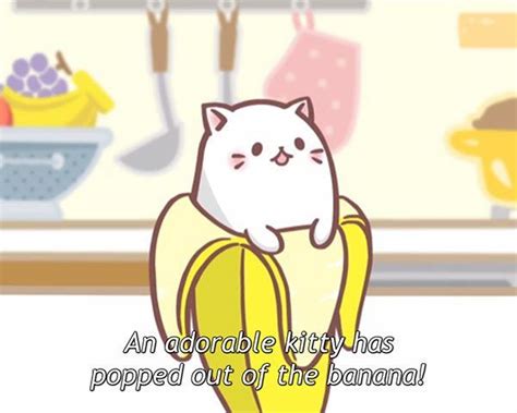 Kawaii Cute Cat Pictures Anime Oh My God Meme