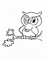 Coloring Owl Birds Bird Winking sketch template