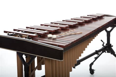 15 fun and interesting facts about the xylophone 2022