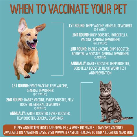 Cats and kittens who go outdoors; Petco Vaccinations Prices For Cats