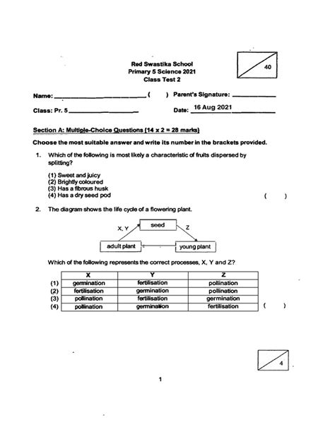 P5 Science Redswastika 2021 Ct2 Exam Papers Pdf Seed Branches Of