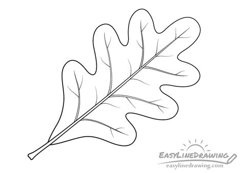 How To Draw An Oak Leaf Step By Step Easylinedrawing