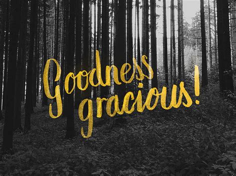 Goodness Gracious By Jonathan Ogden On Dribbble