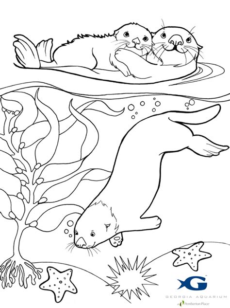 Otter Coloring Pages Download And Print For Free