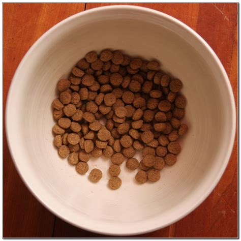 Please consult a vet about the proper care and feeding of your dog. Small Kibble Dog Food Reviews