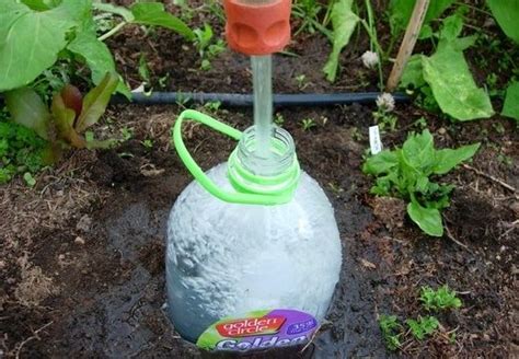 12 Diy Drip Irrigation To Water Your Plants Frugally The
