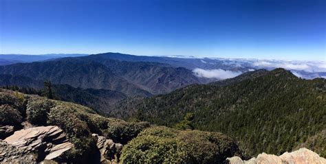 Above the clouds at the Summit of Mt. Leconte, Great Smoky Mountains