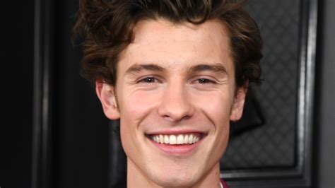 Here's What Shawn Mendes' Tattoos Really Mean