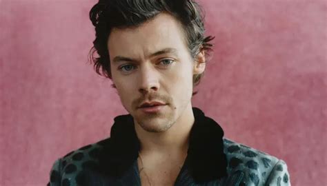 Harry Styles Stalker Charged For Forcing Way Into Singers Home In