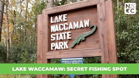 Lake Waccamaw Secret Fishing Spot Youtube