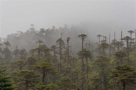 Bhutan Biodiversity