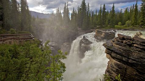 Athabasca Falls In Jasper Alberta Expedia