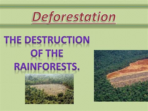 Ppt Deforestation Powerpoint Presentation Free Download Id1893960