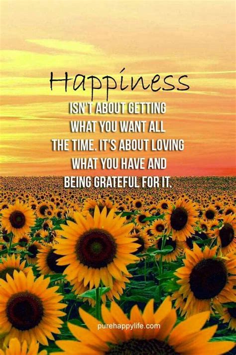 Happiness Is Sunflower Quotes Happy Quotes Flower Quotes