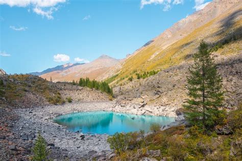 Lago alpino de color turquesa puro entre una exuberante vegetación