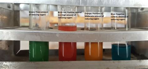 Benedicts Test Principle Procedure Uses And Limitation Microbe