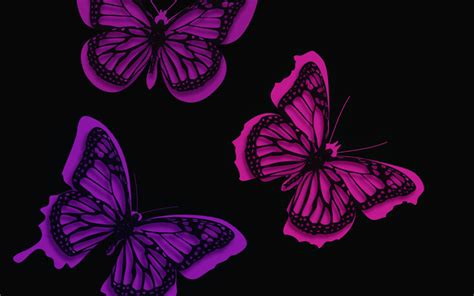Download Wallpapers Butterflies Black Background Minimal Creative