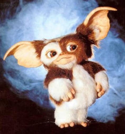 Gremlins Gizmo Scary Movies Horror Movies Good Movies Film Mythique