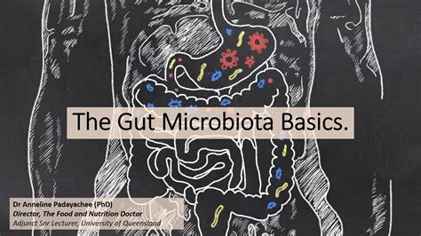 The Basics Of The Gut Microbiota Youtube