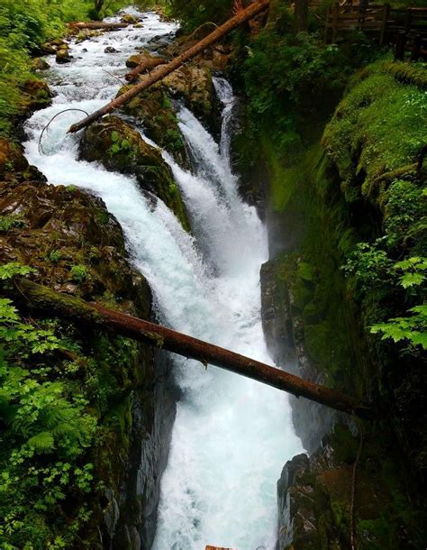 Sol Duc Falls Trail Olympic National Forest Olympic National Forest