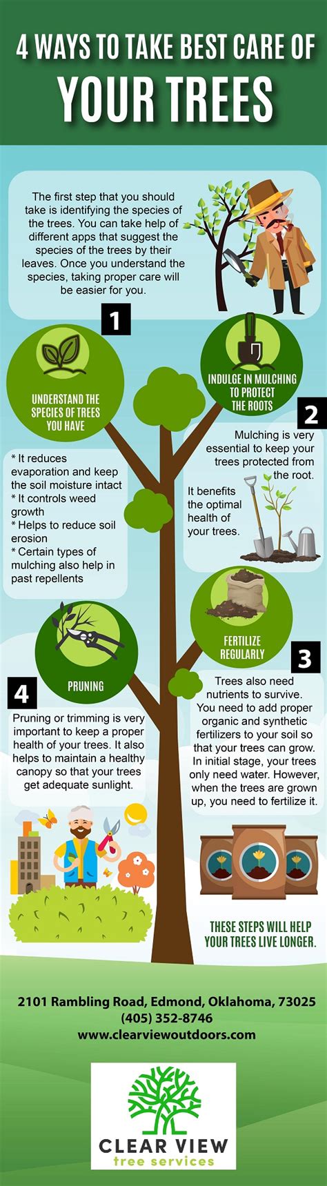 Four Ways To Take Best Care Of Your Trees Infographic — Clear View