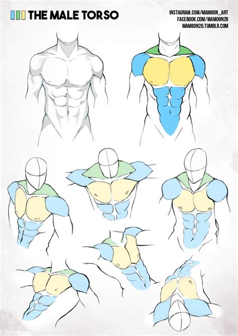 Simplified Anatomy Male Torso By Mamoonart Deviantart On