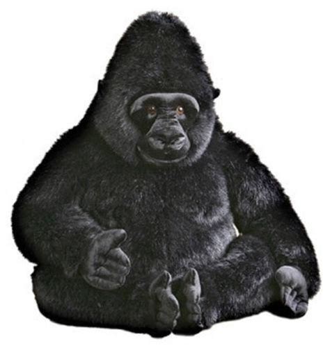 Giant Stuffed Gorilla Ebay