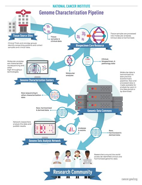 Pipeline De Caractérisation Du Génome Center For Cancer Genomics Nci