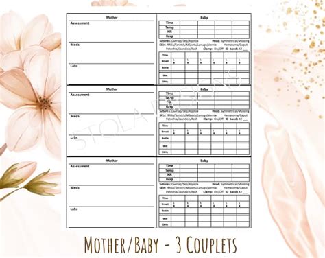 Motherbaby Report Sheet 3 Couplets Etsy