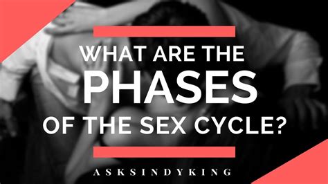 What Are The Phases Of The Sex Cycle Youtube