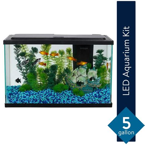 Aqua Culture 5 Gallon Fish Tank Led Aquarium Starter Kit