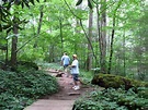 Joyce Kilmer Memorial Forest, Nantahala National Forest » Carolina ...