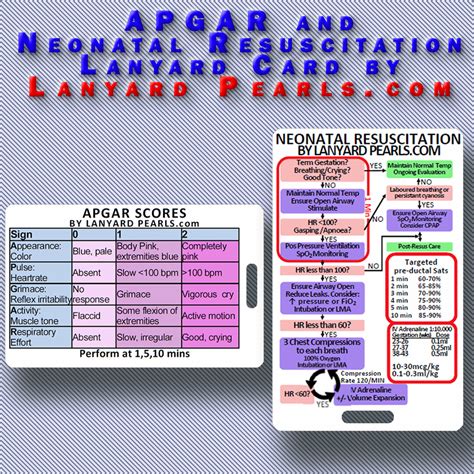 Apgar Score Neonatal Resus Algorithm Lanyard Card