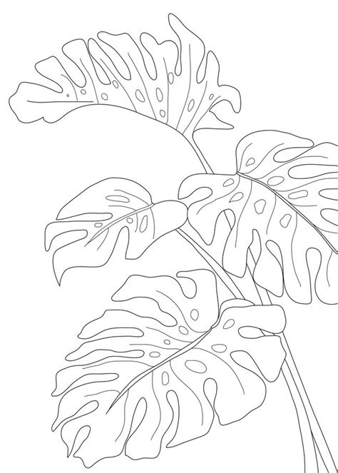Line Art Monstera Leaves Mini Art Print By Nadja Without Stand 3 X