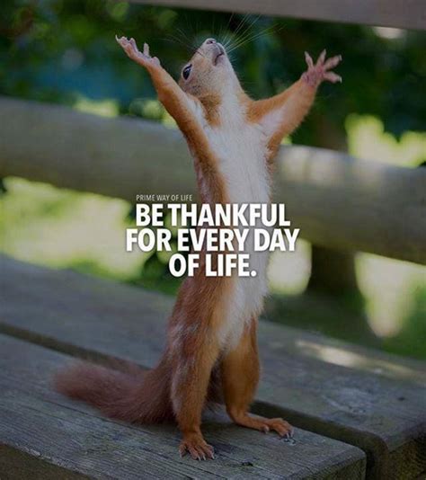 Be Thankful For Every Day Thankful Quotes Positive Quotes Happy